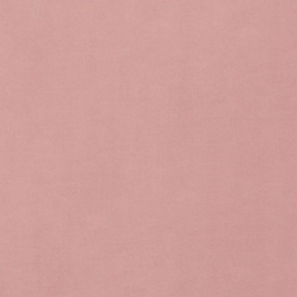 Pale rose-pink textured surface (paper-like) filling the entire frame, showing smooth subtle grain; uniformly lit with no objects or discernible surroundings.