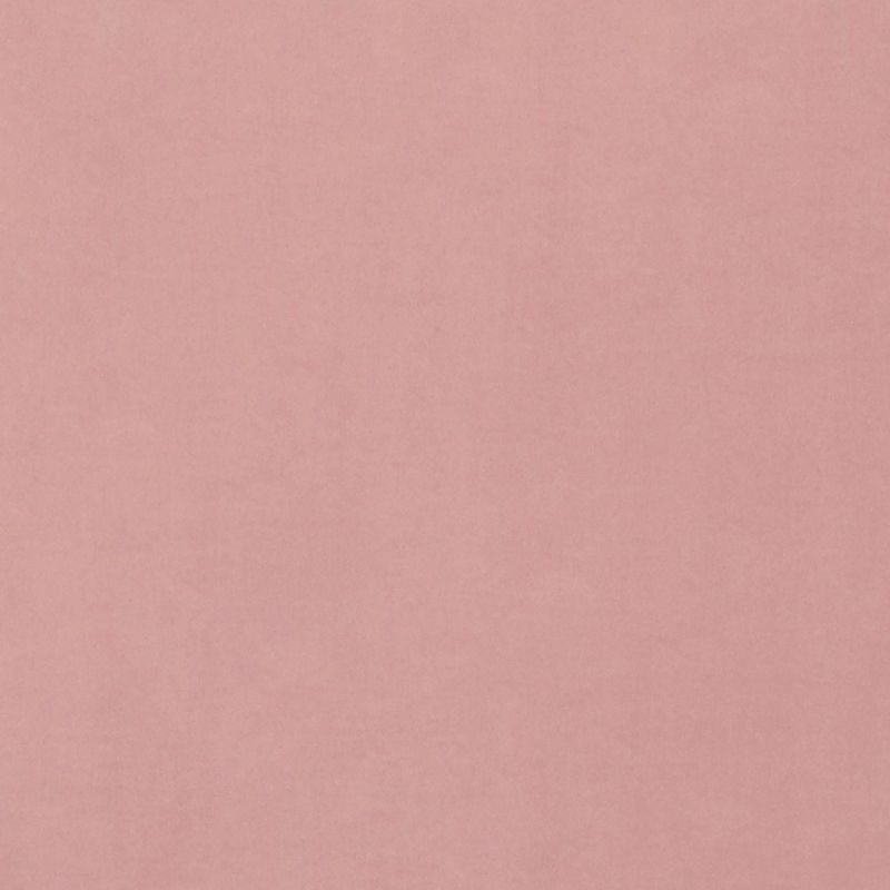 Pale rose-pink textured surface (paper-like) filling the entire frame, showing smooth subtle grain; uniformly lit with no objects or discernible surroundings.