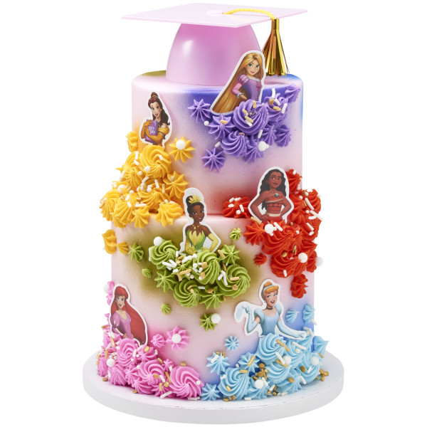 Disney Princess Assortment Poly DecoPics®