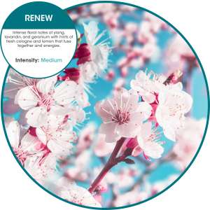 Fresh Products, Oxyfresh Air Freshener Refill, Renew