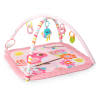 Birds and Blooms Activity Gym™