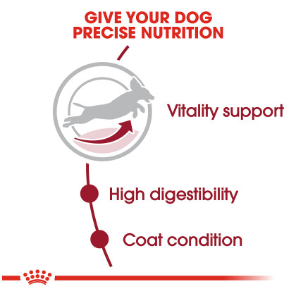 Medium Adult 7+ Dry Dog Food