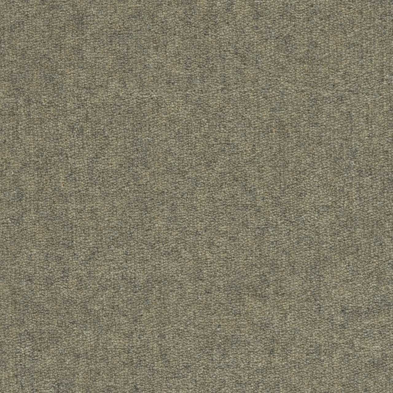 color-rug1