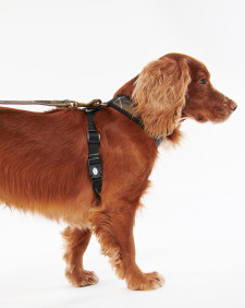Tartan Dog Harness Classic Tartan