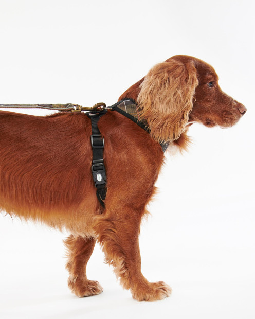 Pettorina per cani Tartan 