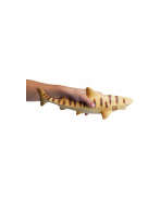 s--u4rOw8qA--/chrohmgrlywi0ustnnrf.jpg