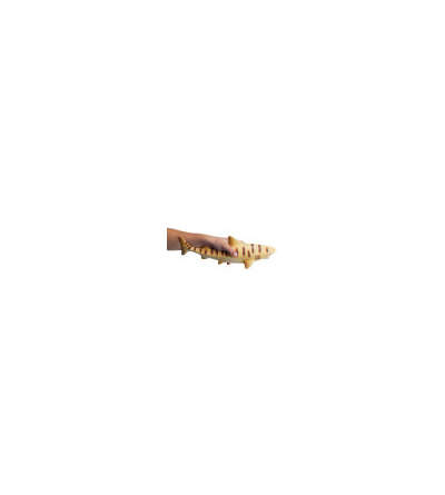 s--u4rOw8qA--/chrohmgrlywi0ustnnrf.jpg
