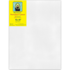 300 Series Gallery Stretched Canvas, 12x16 inch