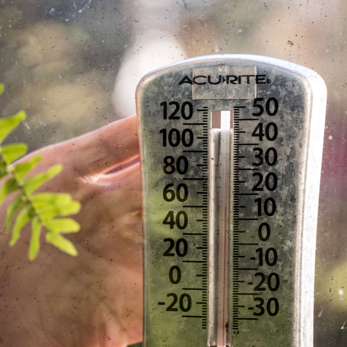 T-Rex<sup>®</sup> Strong and Clear Mounting Tape Additional Image 2