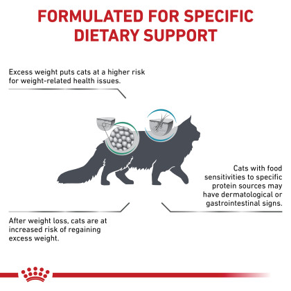 Satiety + Hydrolyzed Protein Dry Cat Food 