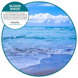 FREOFB04854, Fresh Products, ourfresh 2.0, Air Freshener, Seaside Breeze