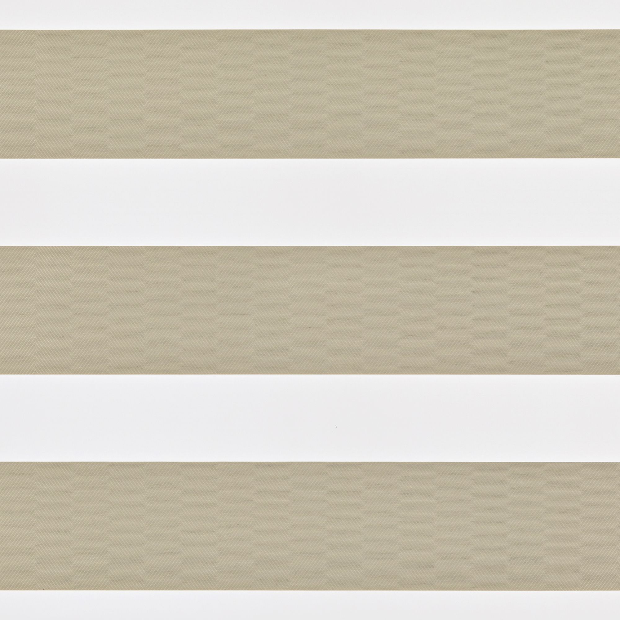 Envision Beige Day and Night Blind