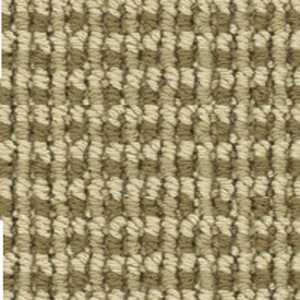 color-rug1
