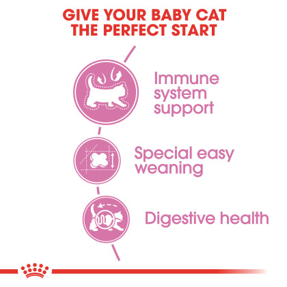 Mother & Babycat Dry Cat Food