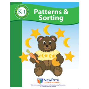 Patterns & Sorting Student Activity Guide