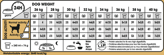 Feeding Guide