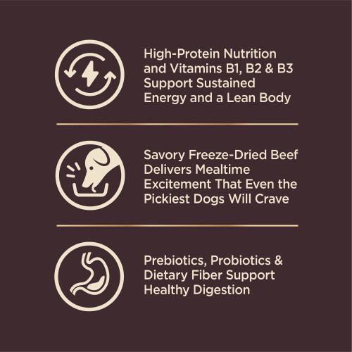 The benifts of Wellness CORE+ Wholesome Grains Beef & Barley