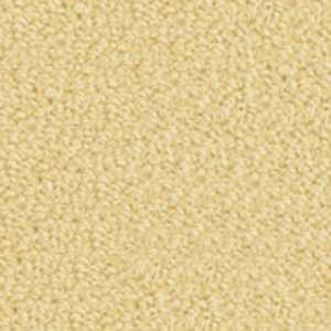 color-rug1