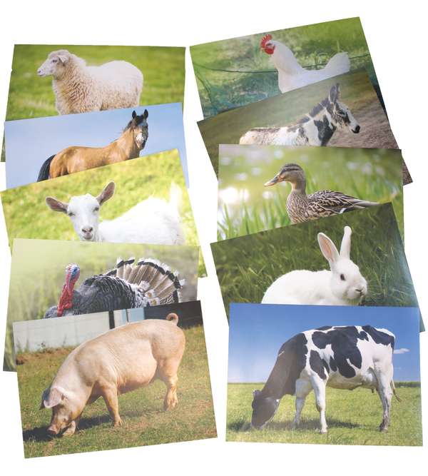 Farm Animals Poster Set