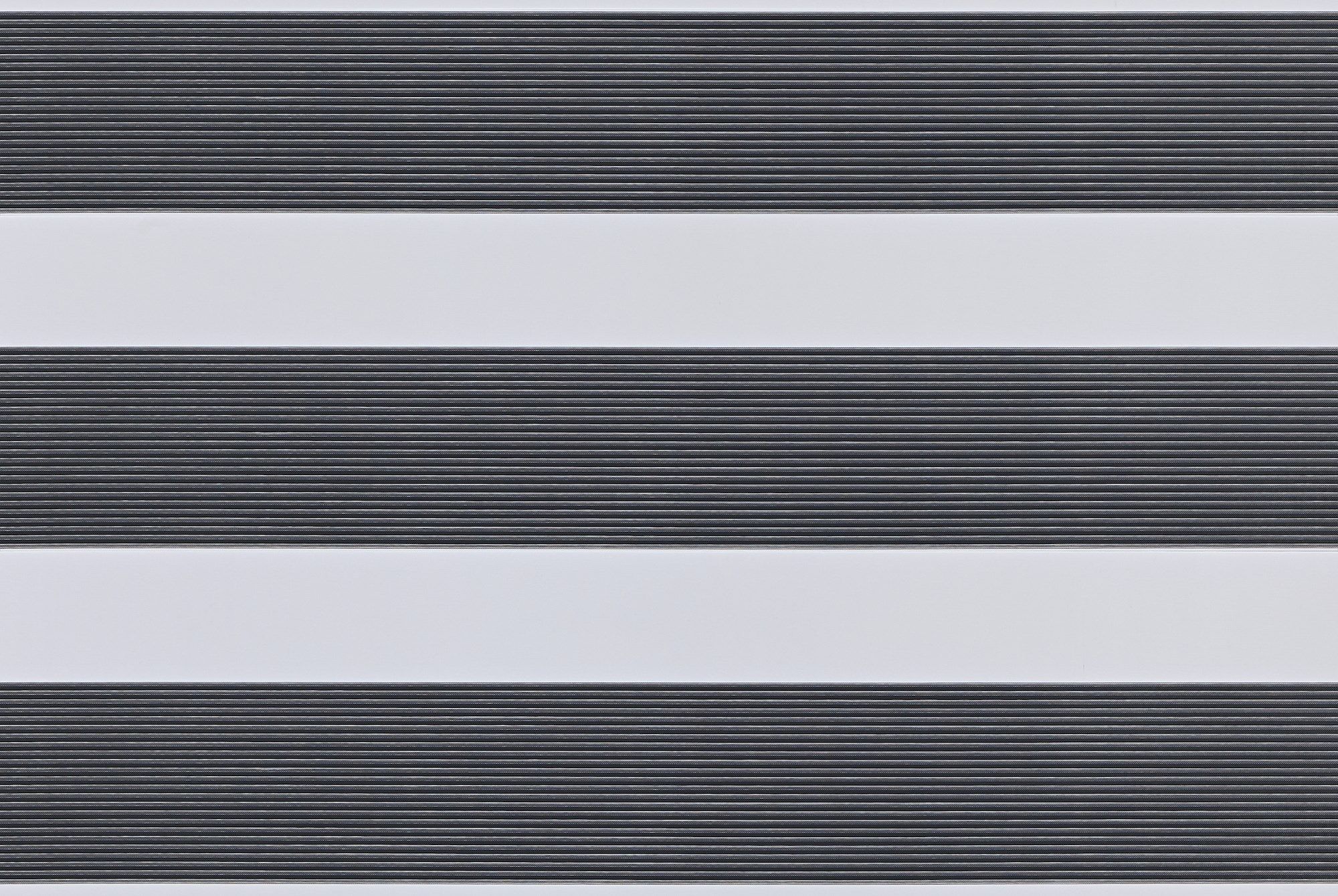 Awaken Graphite Day and Night Blind