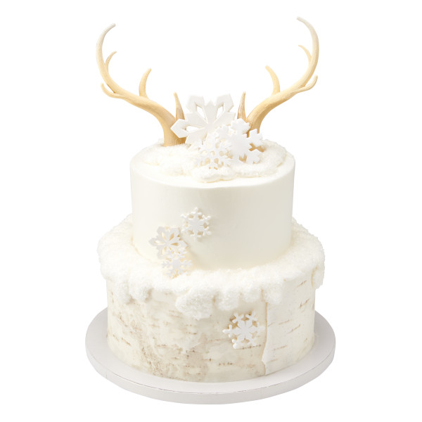 Birch Bark PhotoCake® Edible Image®