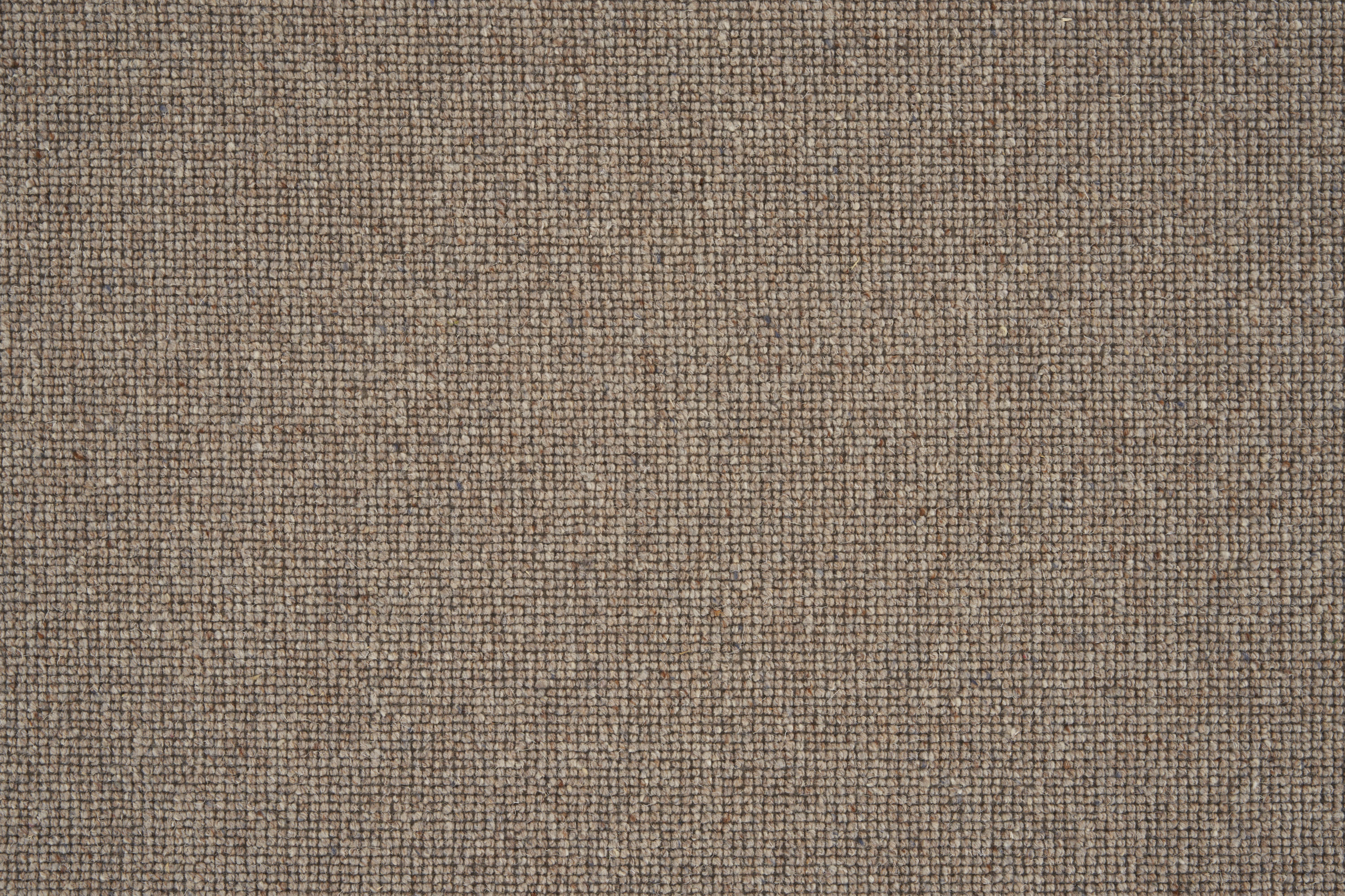 color-rug1