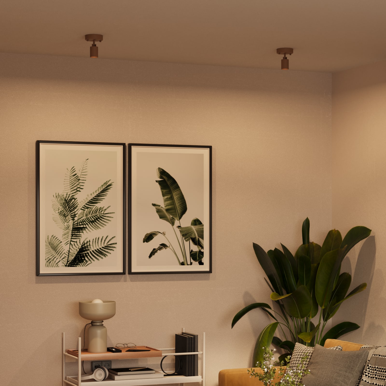 Shura Spot Light — installation 3