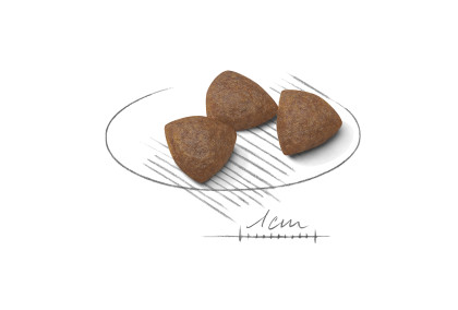 Medium Starter Mother & Babydog kibble