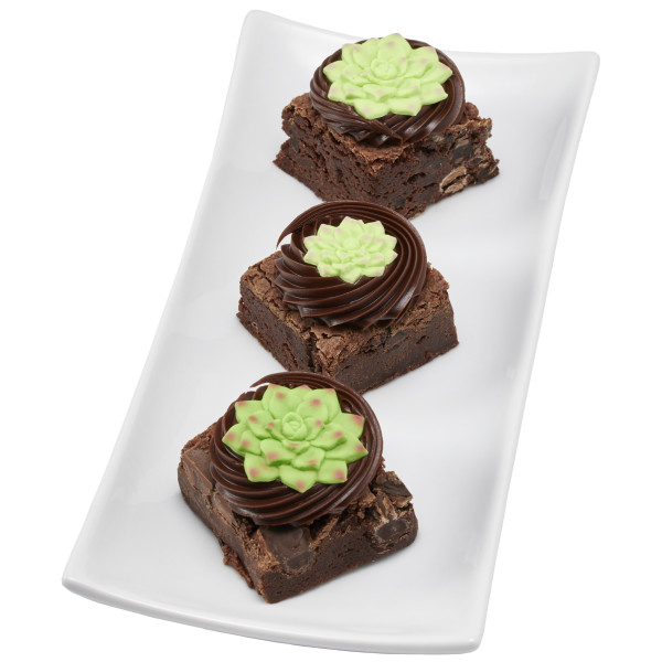 Succulents Sweet Décor® Edible Decorations
