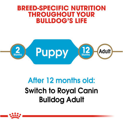 Bulldog Puppy Dry Dog Food - Royal Canin