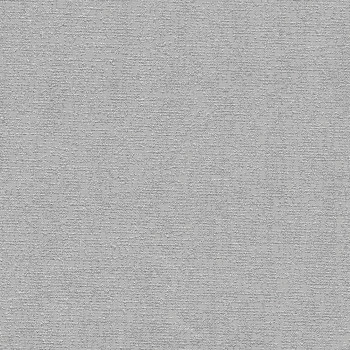 Karlina Silver Vertical blind