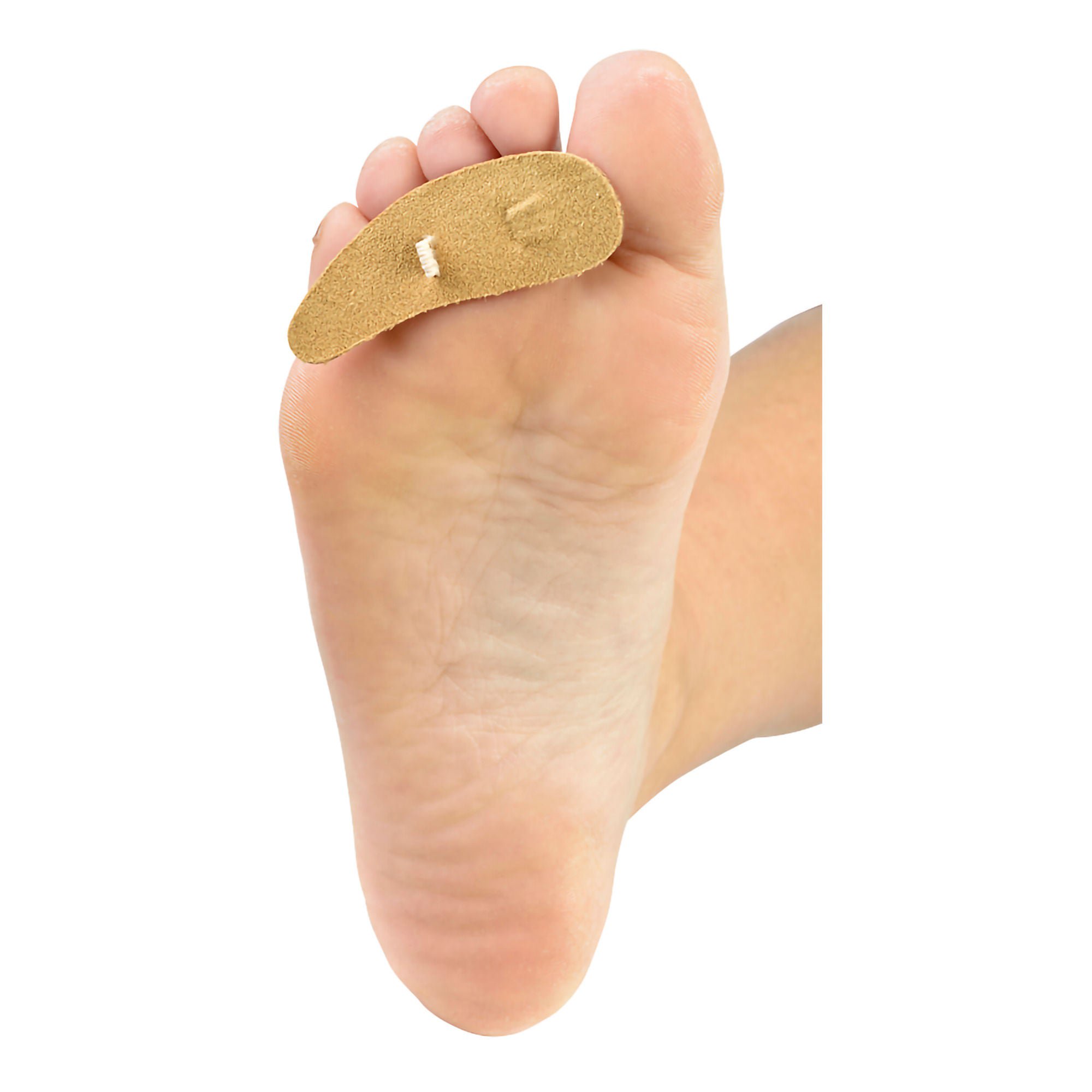 View 2