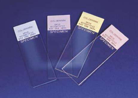 Colormark® Plus Microscope Slide