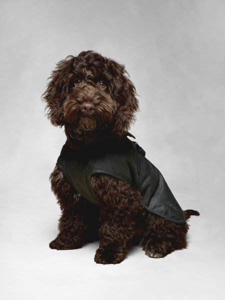 Barbour x ARKET Fairgame Waxed Dog Coat Barbour x ARKET Fairgame Waxed Dog Coat