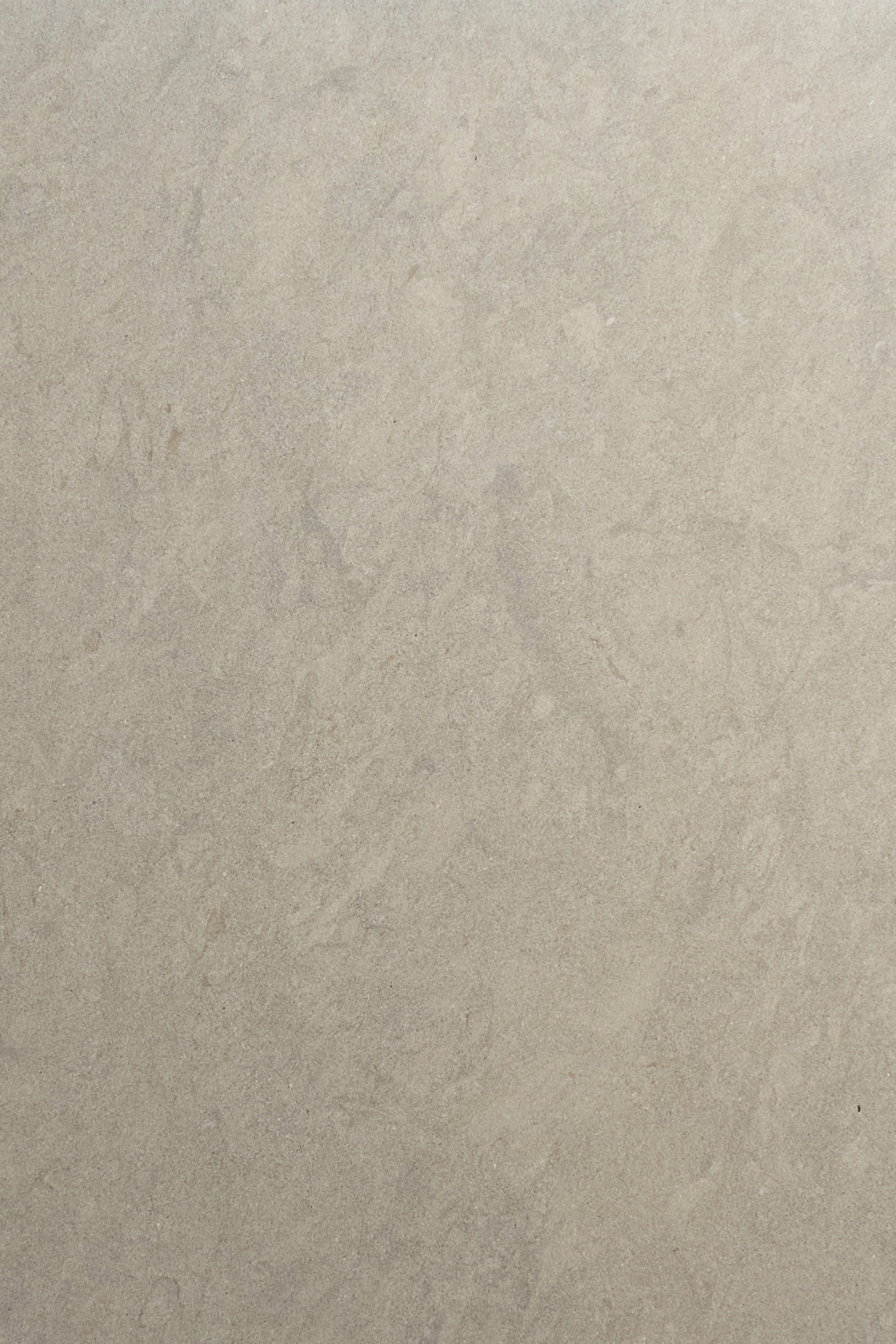 a close up image of a grey limestone surface.