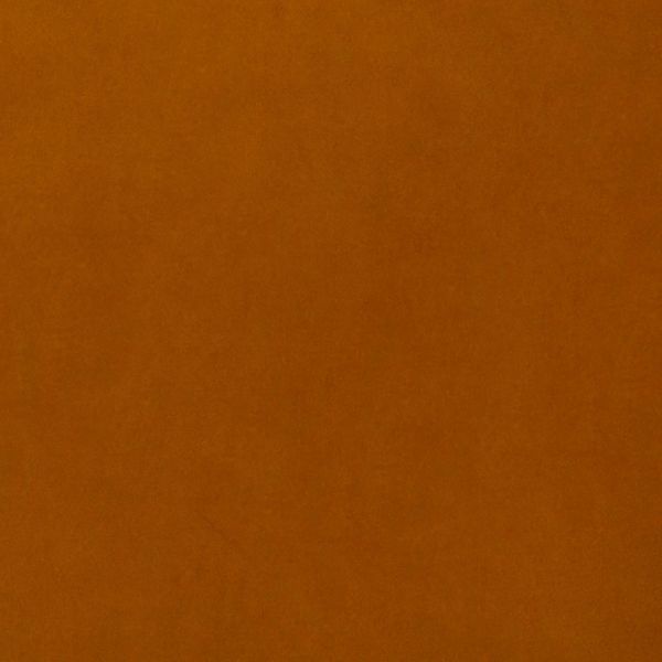 Orange-brown textured surface filling the frame â€” static and unbroken â€” evenly lit with slight graininess â€” close-up interior view with no discernible features or objects.