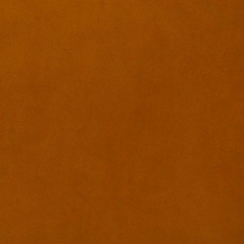 Orange-brown textured surface filling the frame â€” static and unbroken â€” evenly lit with slight graininess â€” close-up interior view with no discernible features or objects.
