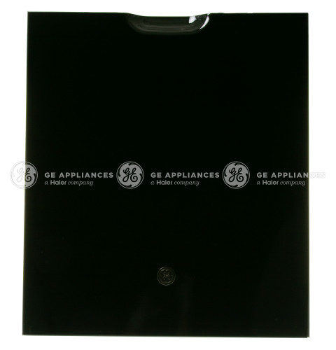 BLACK OUTER DOOR SERVICE ASSEMBLY