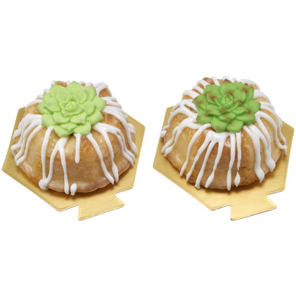 Succulents Sweet Décor® Edible Decorations