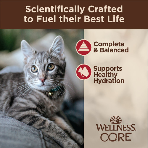The benifts of Wellness CORE Tiny Tasters Minced Chicken & Beef