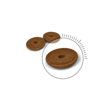 Digestive Care kibble