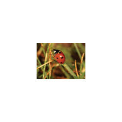 s--uk9qynOZ--/pdq3xcgvwoqbnyywlbxo.jpg
