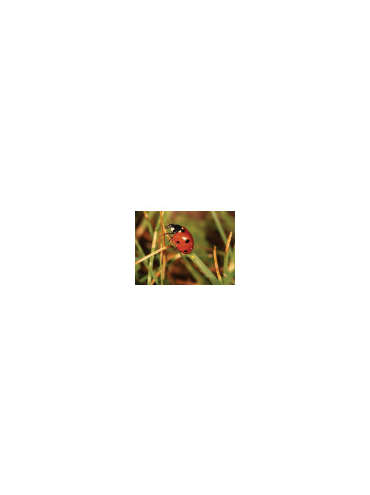 s--uk9qynOZ--/pdq3xcgvwoqbnyywlbxo.jpg