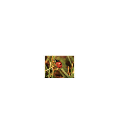 s--uk9qynOZ--/pdq3xcgvwoqbnyywlbxo.jpg