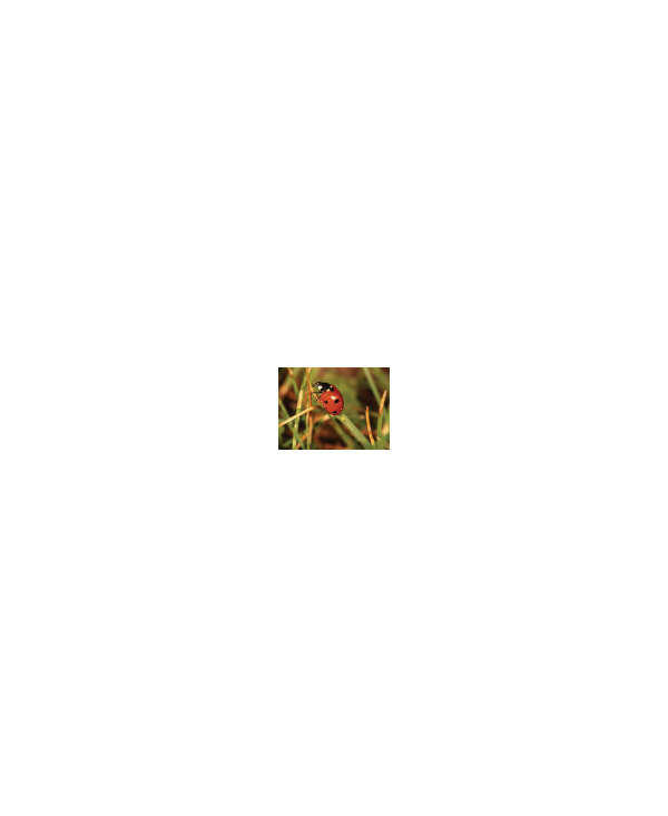 s--uk9qynOZ--/pdq3xcgvwoqbnyywlbxo.jpg