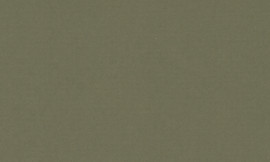 [C61690]Crescent Olive Bronze 32x40