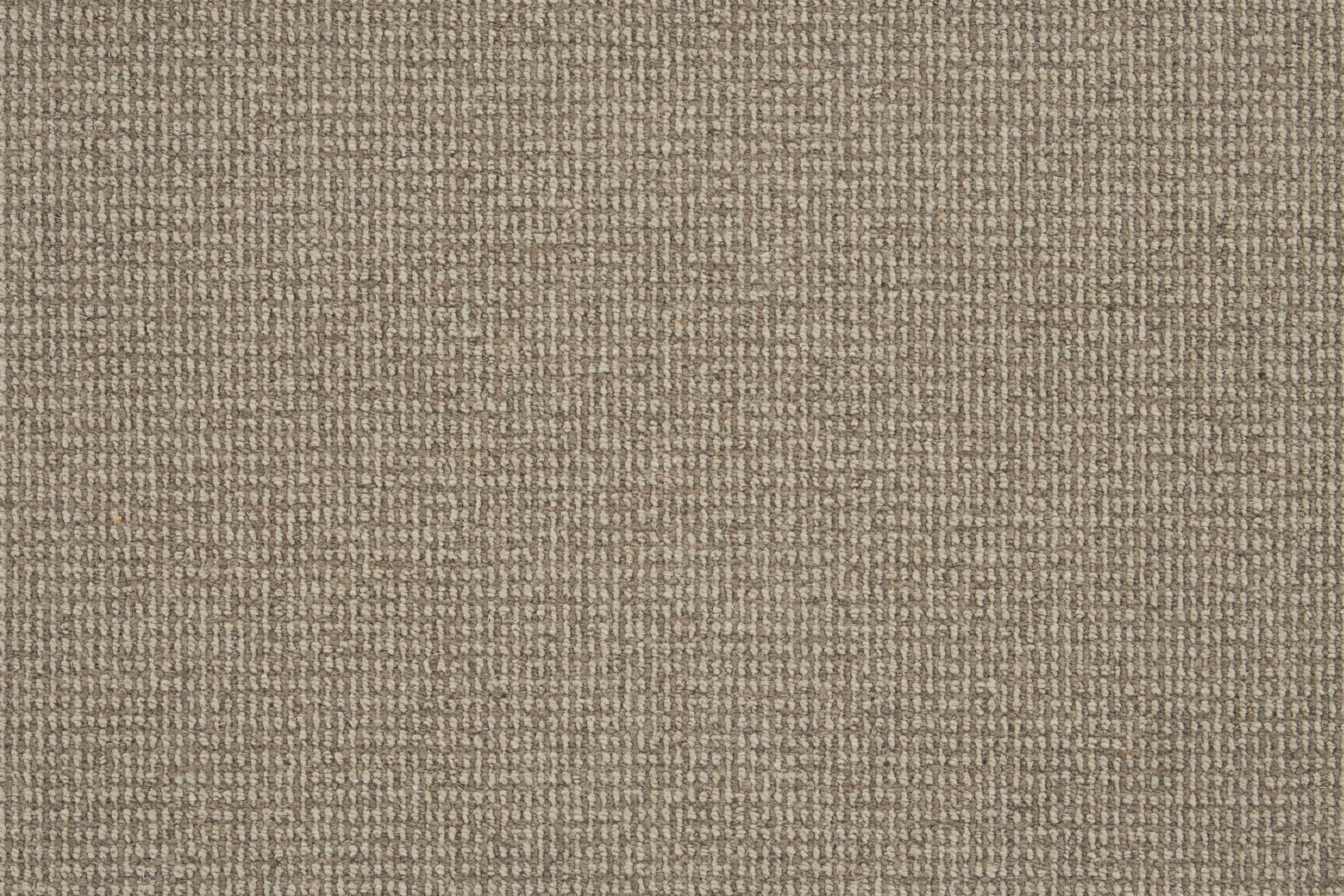 color-rug1