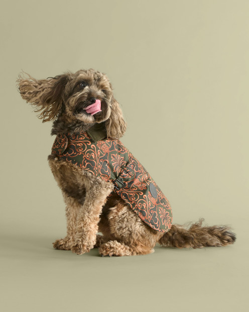 Cappottino per cani Pineapple Barbour FARM Rio Royal Pineapple