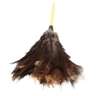 Impact, Economy 23" Ostrich Feather Duster, Ostrich Feather, Brown/Gray, 15 in