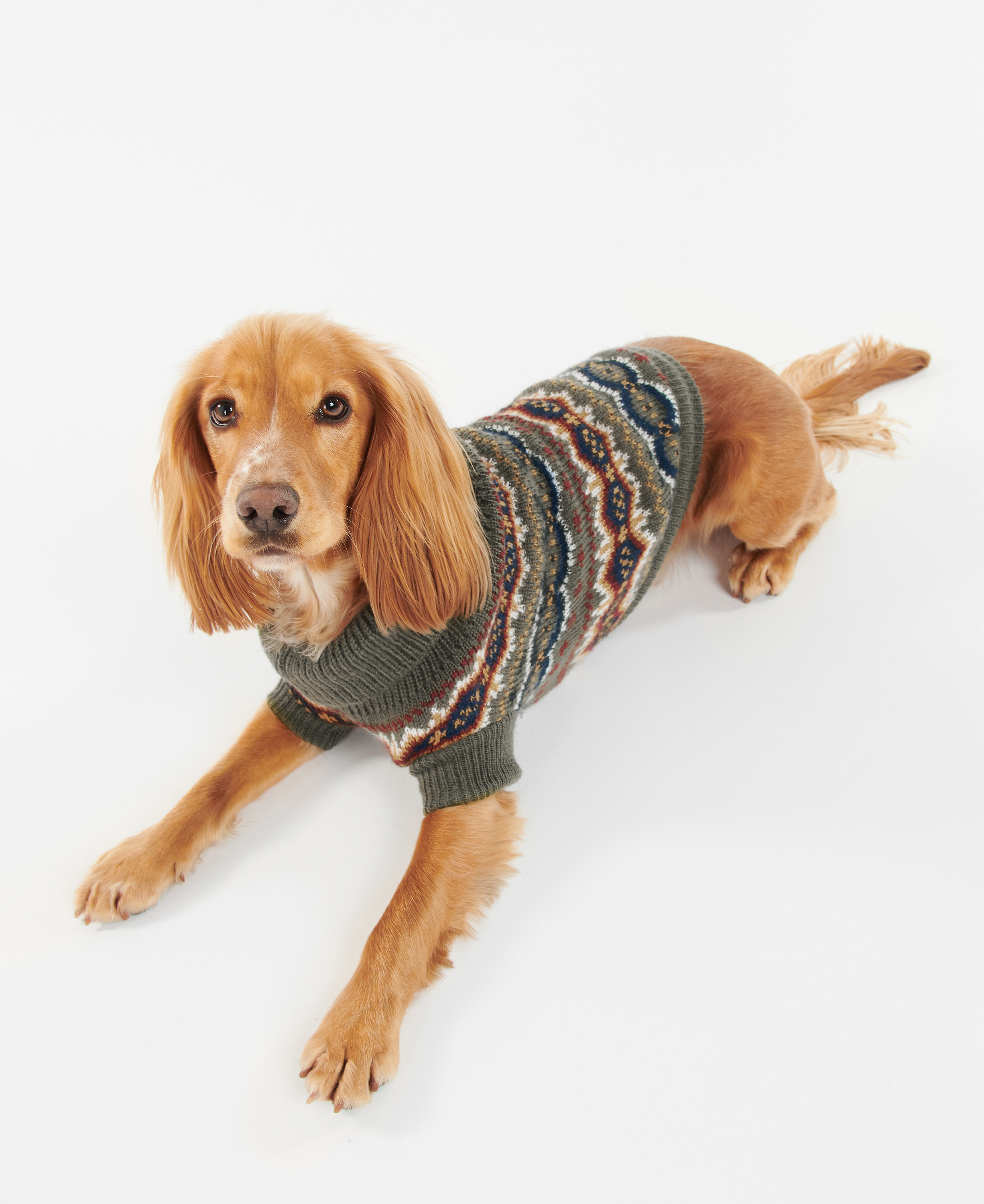 Case Fairisle Dog Jumper image number 1